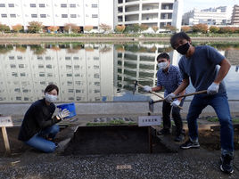 菜の花の種まき活動　【企業編２】