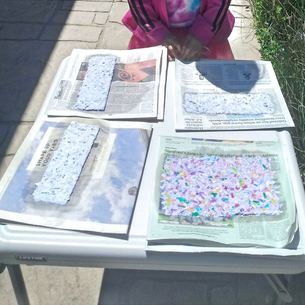 Recycled paper and seed paper