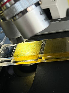 A close up of a slide under a lit microscope. The slide has a yellowish liquid within.