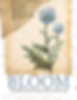 BLOOM BIBLE STUDY: FINDING GOD'S WILL FOR YOU LIFE