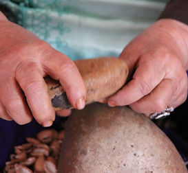 concassage noix d'argan coopérative essaouira