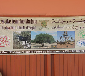 coop Marjana-maroc