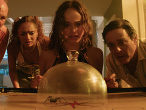A group of people of mixed genders are gathered around a glass cloche with a spider inside