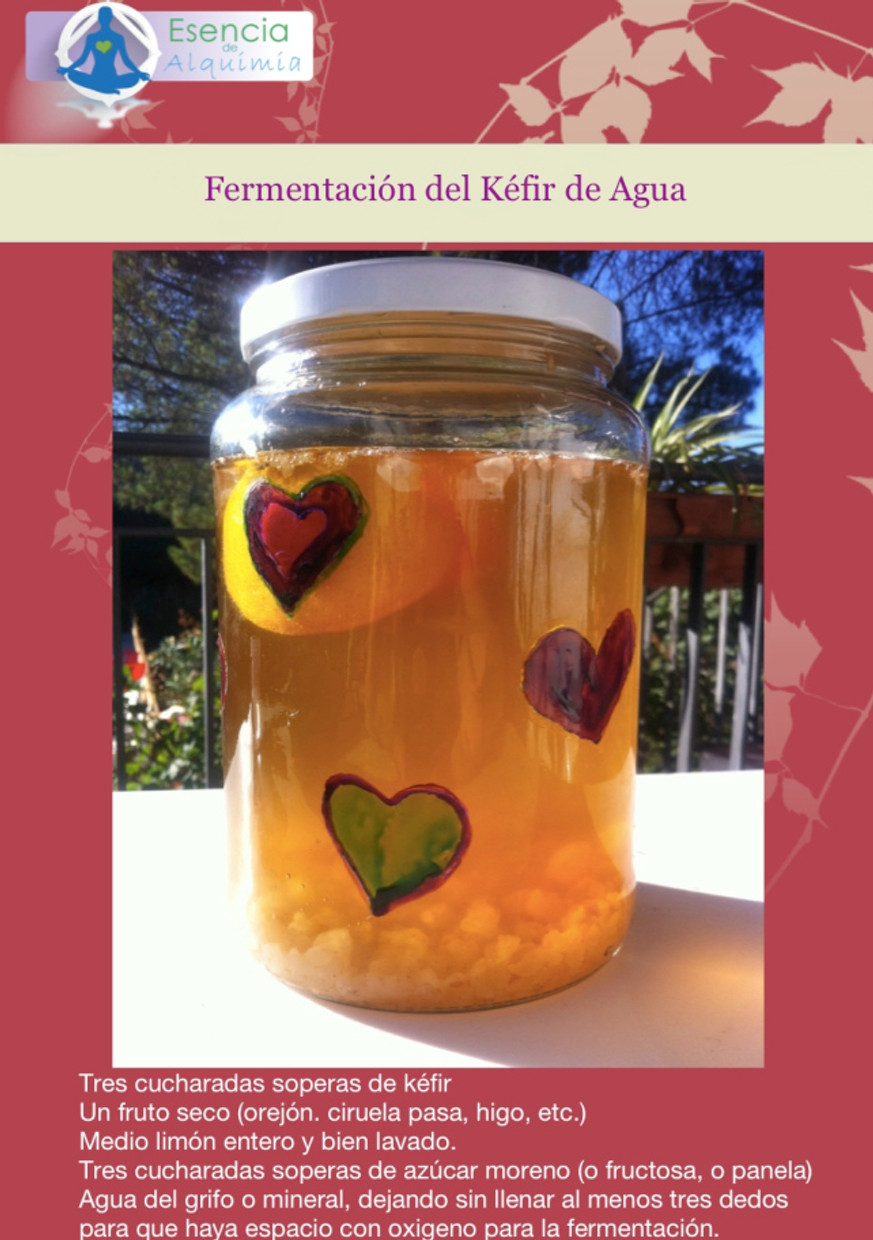 Kéfir de agua