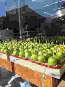 Green apples in window store front