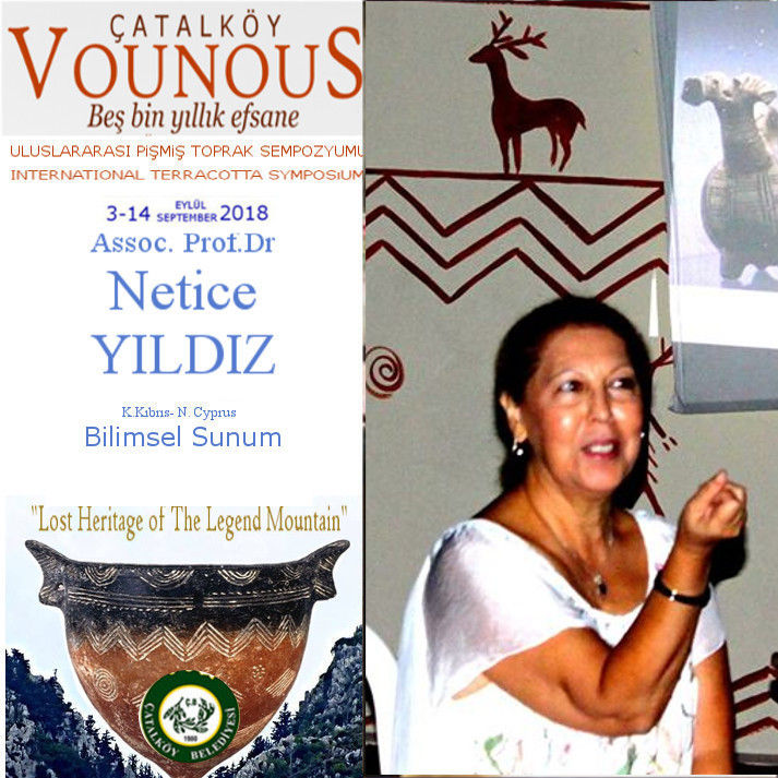 Netice YILDIZ afis 2018 esas