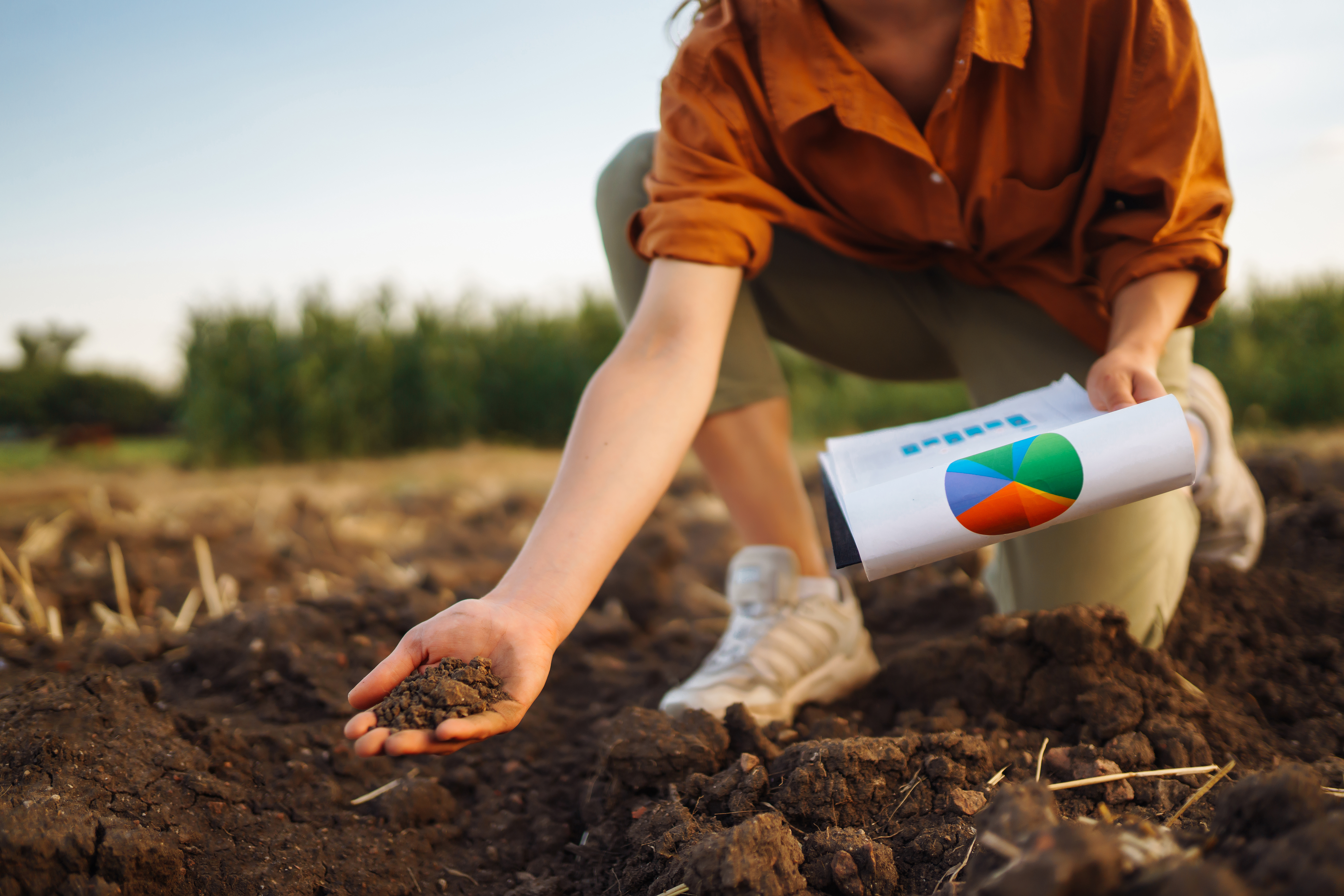 female-hand-of-expert-farmer-collect-soil-and-chec-2025-03-08-04-32-56-utc.jpg