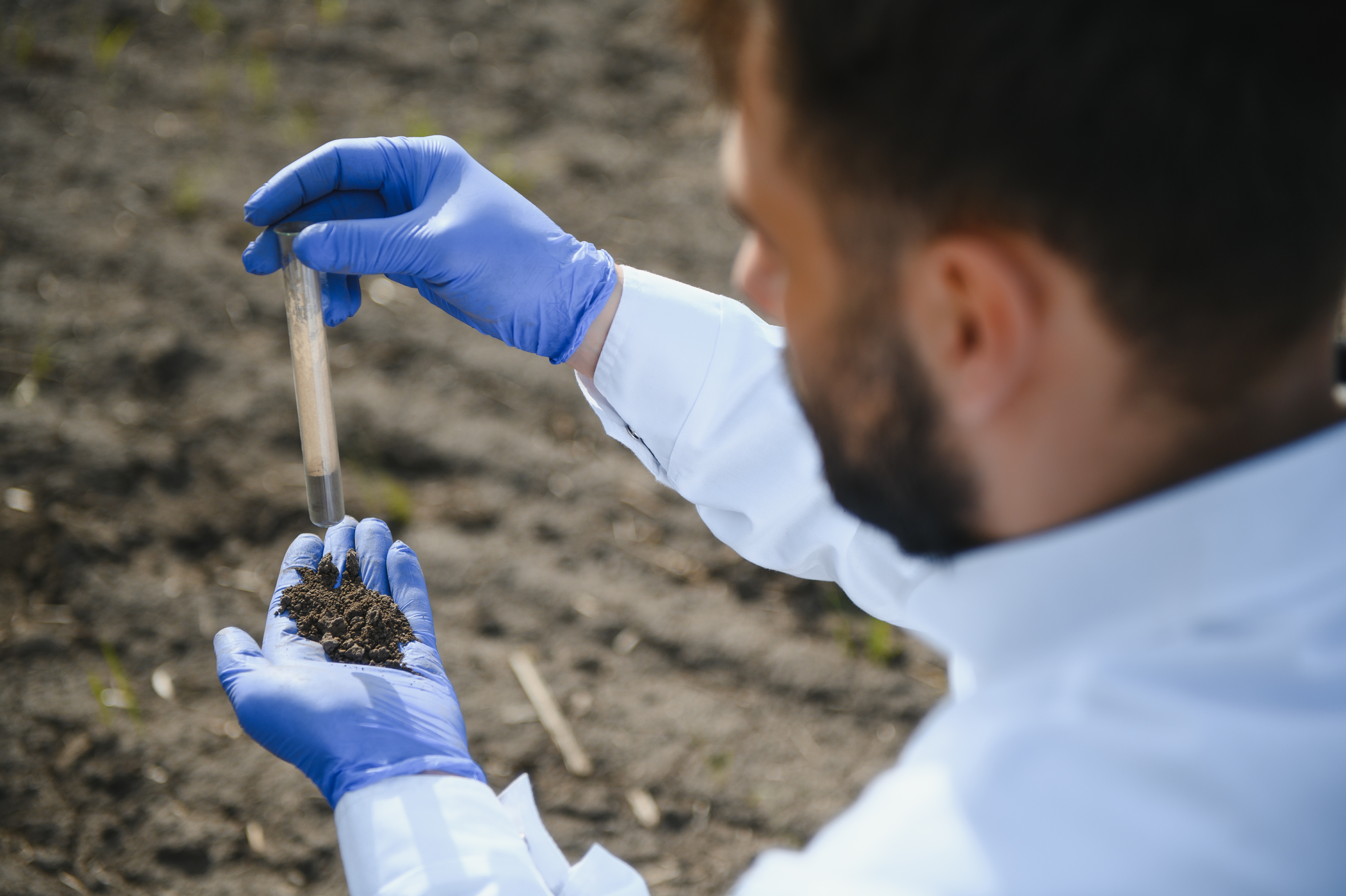 agronomist-studying-samples-of-soil-in-field-2025-03-14-18-08-51-utc.jpg