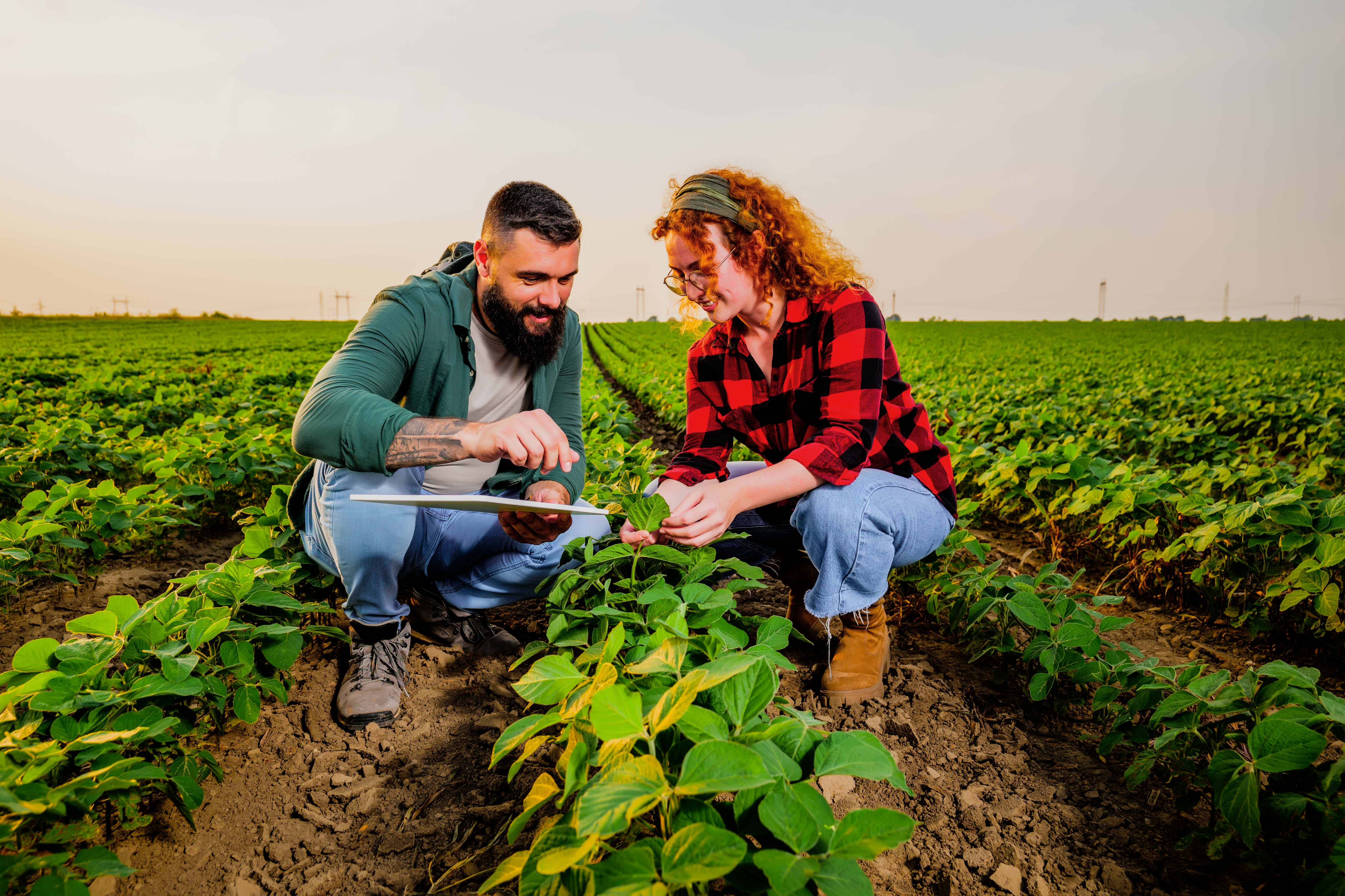 agriculture-2025-03-09-07-00-26-utc.jpg