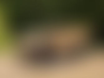 La Infantería de Marina de Brasil anuncia la compra de camiones Unimog y blindados JLTV