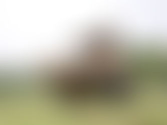 Ministro de Defensa de Brasil: Guaraní para Argentina, ventas de submarinos, KC-390 y más.