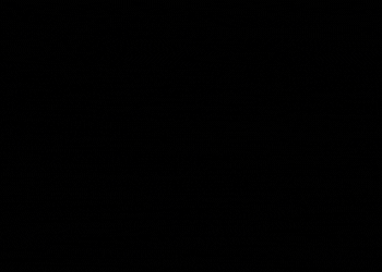 Banner site Pucará.gif