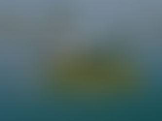 El Dornier 228 vuelve a América Latina con nuevas capacidades