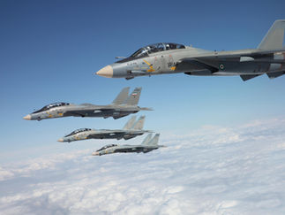 Esos gatos persas... Unas palabras sobre los Grumman F-14 Tomcats de Irán