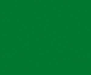 YDRAY-4-INVAP-300x250.gif