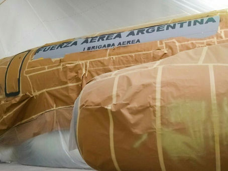 Boeing 737 para la Fuerza Aérea Argentina, más cerca