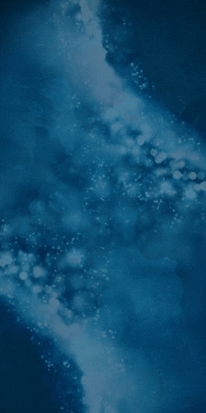 PLATAFORMA INTEGRAL.gif