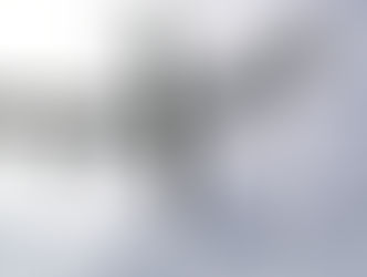 Episodios sobre el papel decisivo de Estados Unidos en el conflicto del Atlántico Sur.