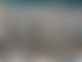 “Argentina debe decidir si quiere ser una potencia regional o un satélite ideológico”