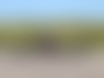 La Fuerza Aérea Uruguaya realiza el ejercicio Pulso Firme para poner a prueba su capacidad de combate