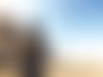 Fronteras aseguradas contra toda violación