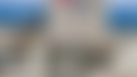 Pucará en exclusivo con Top Aces: Cómo trabajan y cómo será el programa de entrenamiento para los F-16 argentinos