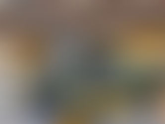 El Ejército de Colombia extiende por primera vez la vida útil de un helicóptero Mi-17