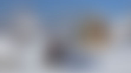 La preocupante situación de la Defensa Nacional en Chile