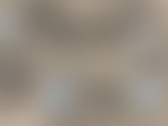 La Aviación Militar de Venezuela exhibe aeronaves fuera de servicio en su día