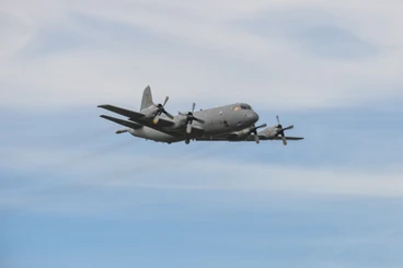 [Imagen: faeb1f_9425cf9e12074b3e925555de379a49ca~mv2.webp]