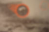 ree