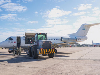 Actividades de las Fuerzas Armadas Argentinas en la gestión de la pandemia Covid 19