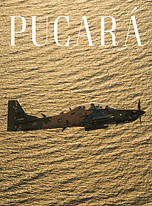 Tapa 36.jpg