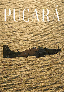 Tapa 36.jpg