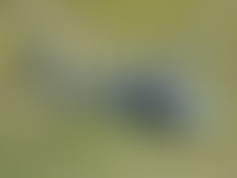 Colombia suspendió compras de armas a EE.UU. tras ser descertificada en la lucha antidrogas