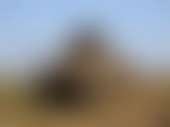 Cascavel: un nuevo ciclo de vida