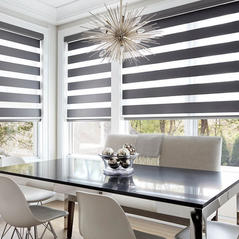 zebra Blinds north york.jpeg