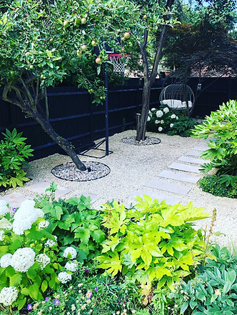 Family garden New Malden