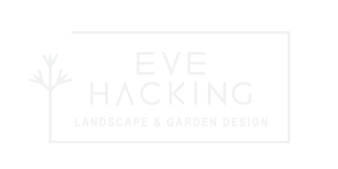 EVE HACKING DESIGN