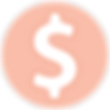 icon dollar in a orange circle
