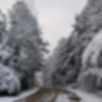 road with snow and trees on the sides
