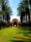 Rural house with palm trees
