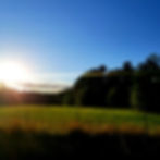 open space with grass, trees, and sun in the distance
