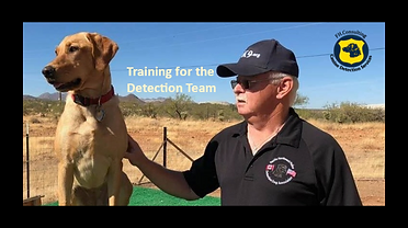 Fred Helfers Dog Training