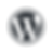 WordPress logo in a circular frame