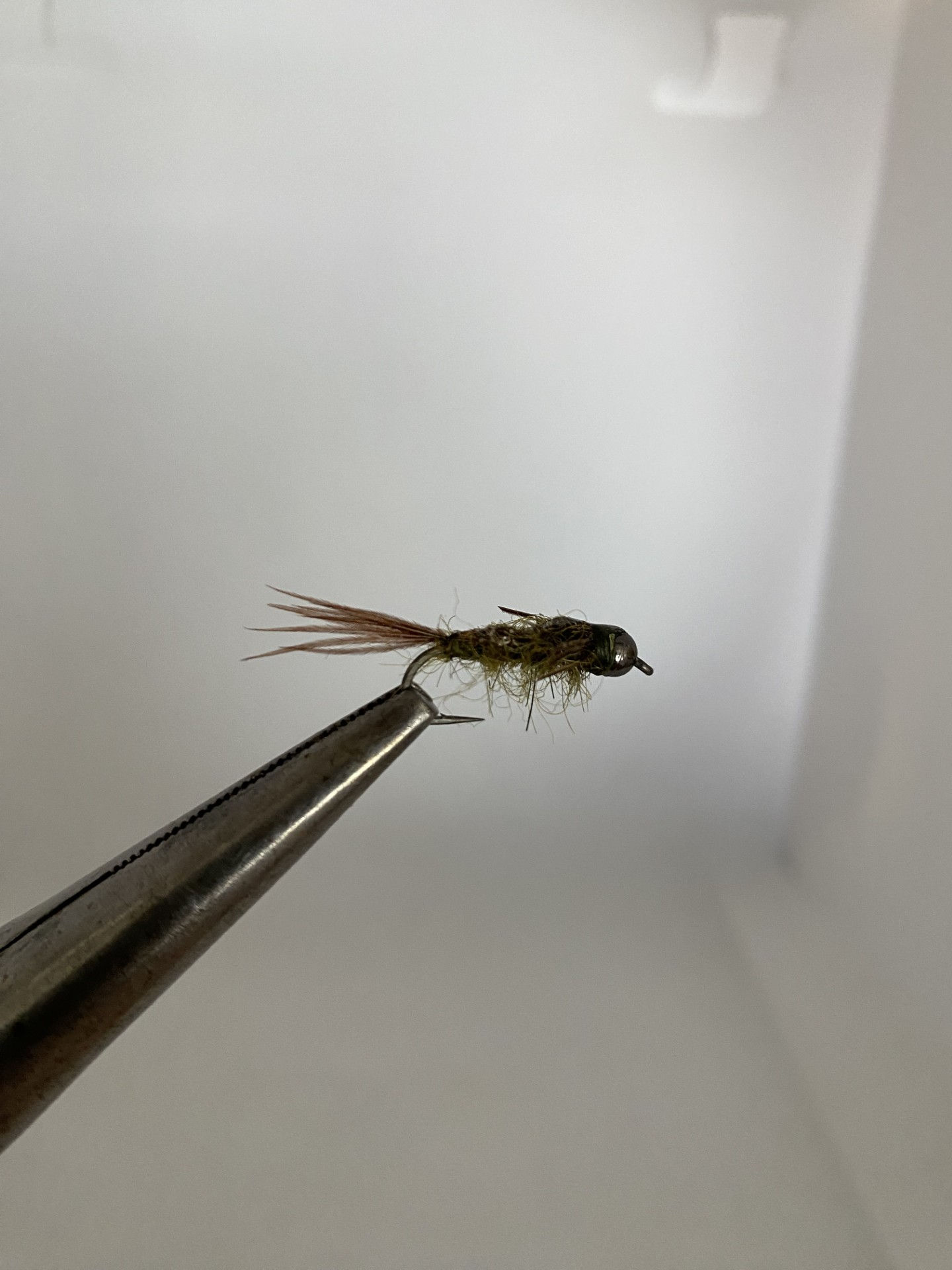 Green Drake Nymph Size 10