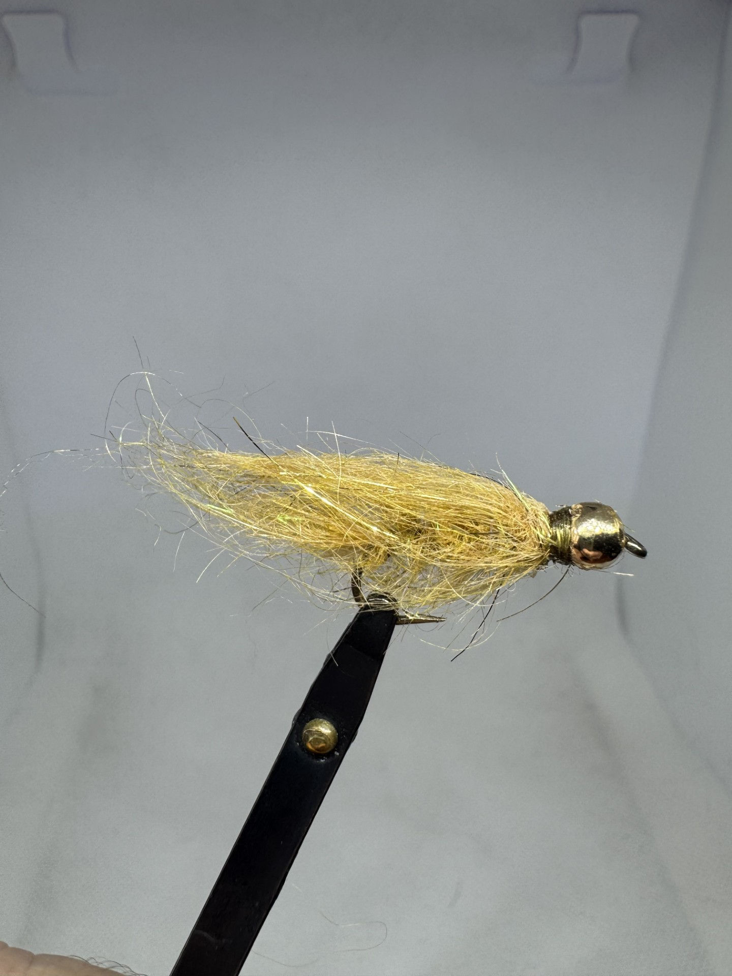 Amber Olive Simi Seal Leech Size 10