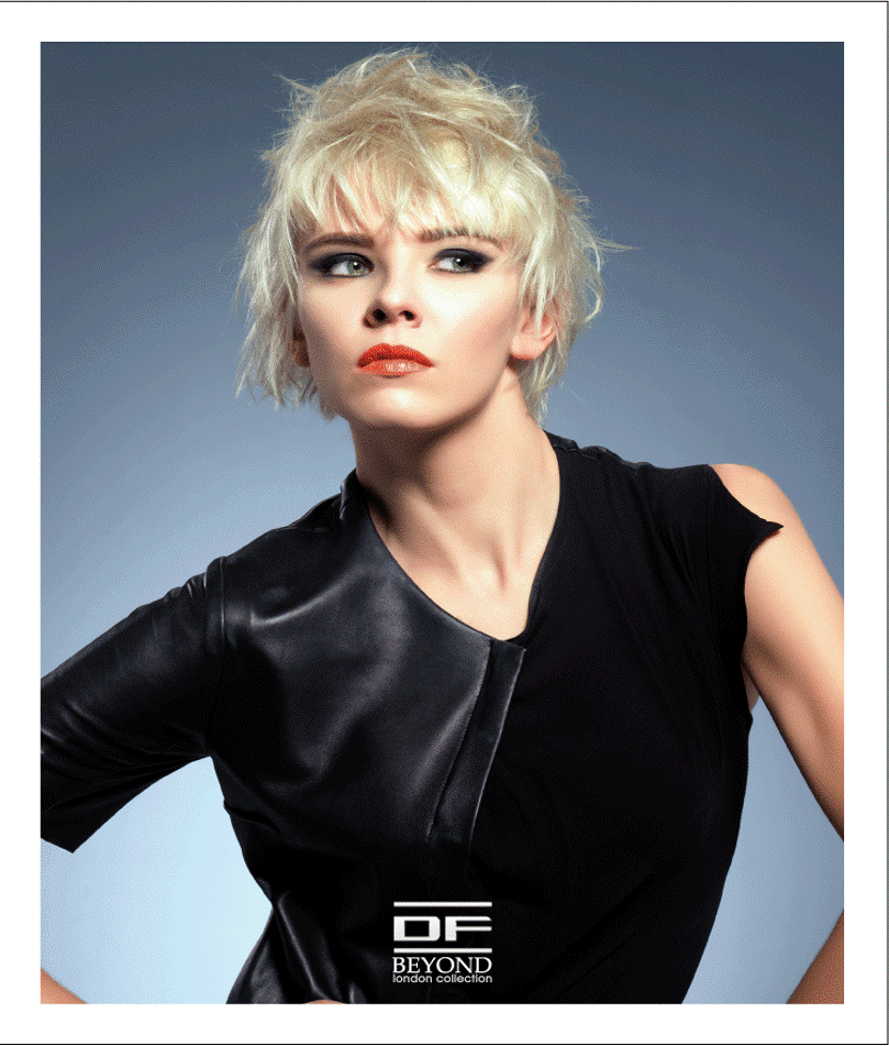 Catalogo online