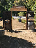 IMG_4843.jpeg