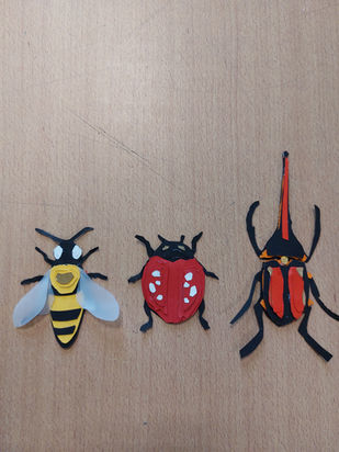 Arts / Collège : Réalisation d'insectes